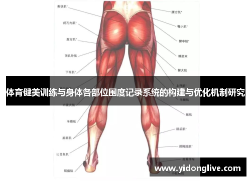 体育健美训练与身体各部位围度记录系统的构建与优化机制研究