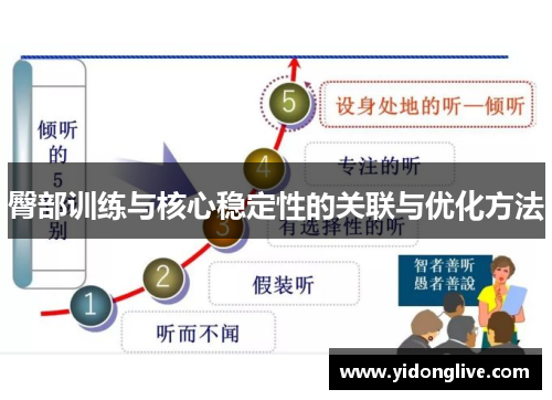 臀部训练与核心稳定性的关联与优化方法