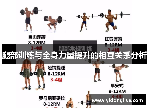腿部训练与全身力量提升的相互关系分析